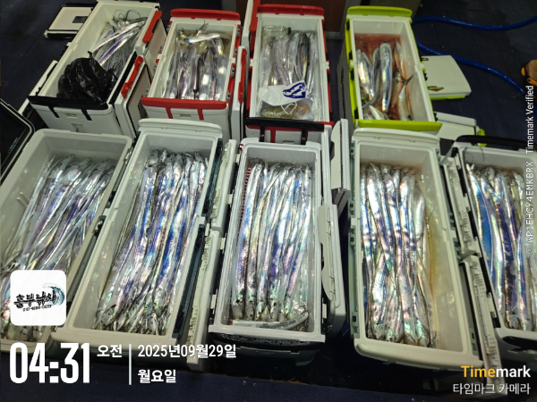 d46658cba5b15afee09ab5871dc1bd47.jpg