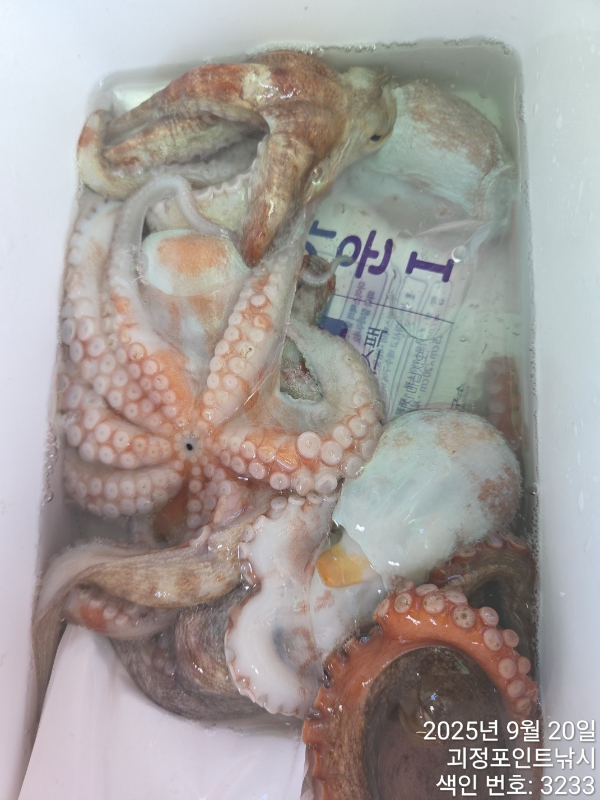 KakaoTalk_20250920_145918318_12.jpg