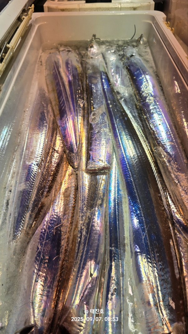 d645214aa28dce5e60e2905d1fb8e893.jpg