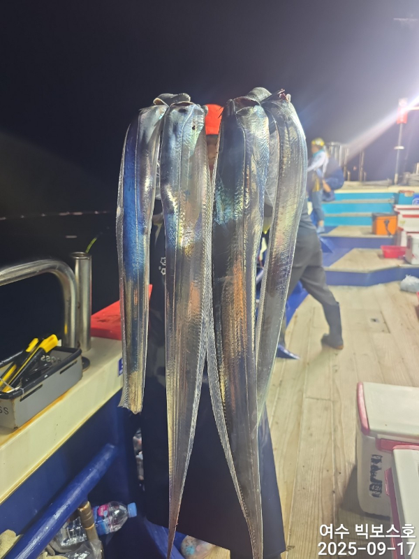 ♡ 여수 빅보스 ♡문어,갑오징어,쭈꾸미,타이라바(참돔)_사진_20250917_2.jpg