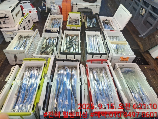 KakaoTalk_20250915_093932123.jpg