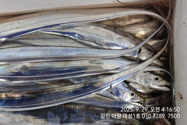 d672f04193b24a954aab74aa4ae88583.jpg
