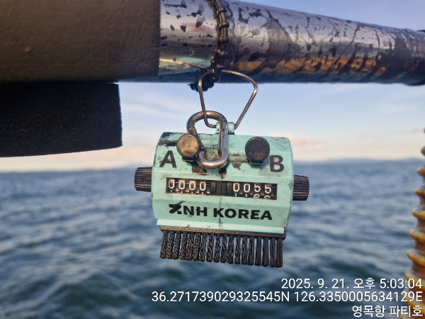 d6b64215b8867a71fe885172b0b89f9b.jpg