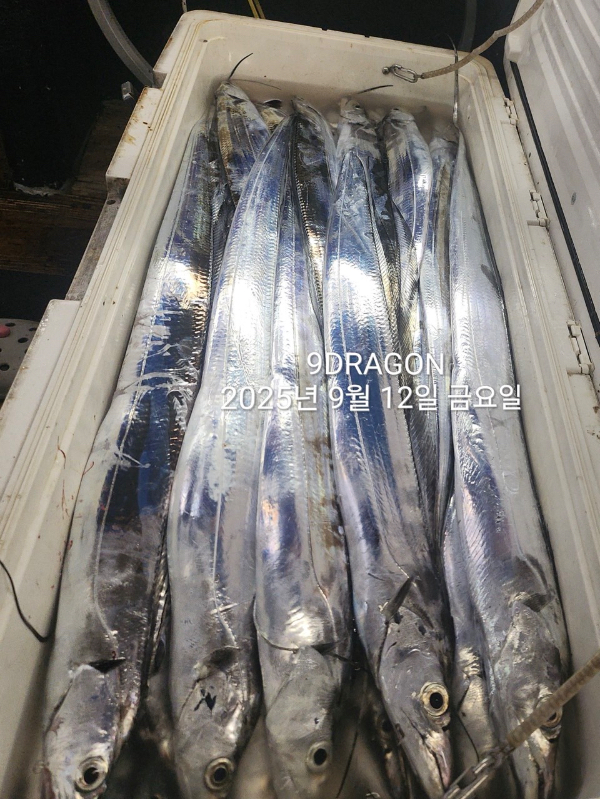14868490-917D-40DB-A2C0-DD6092E3D507.jpeg