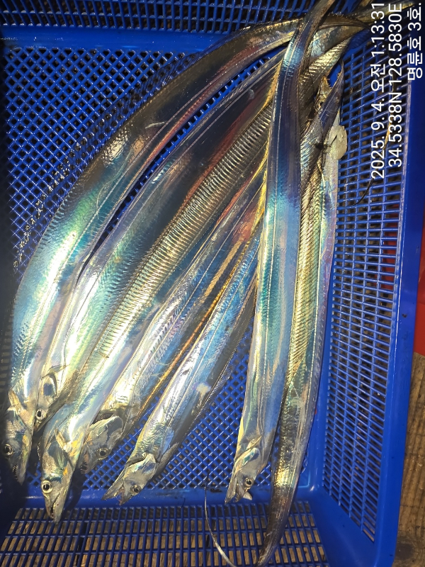 KakaoTalk_20250904_072717136_04.jpg