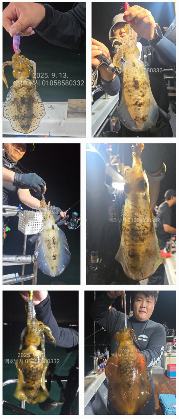 d6fcece0656d2f4dae8b0d72616547d1.jpg