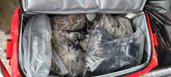 예지퀸호 농어외수질&어초낚시 경기인천권_사진_20250916_5.jpg