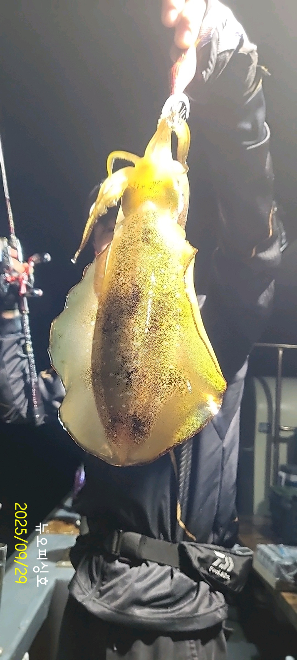 DateCamera0929015401.jpg