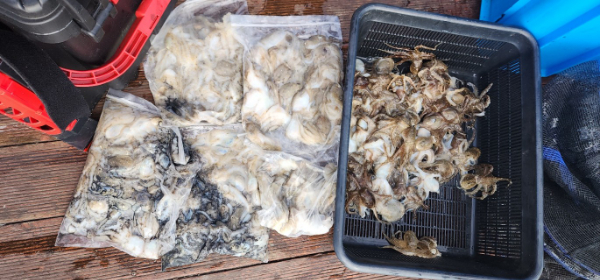 예지퀸호 농어외수질&어초낚시 경기인천권_사진_20250904_11.jpg