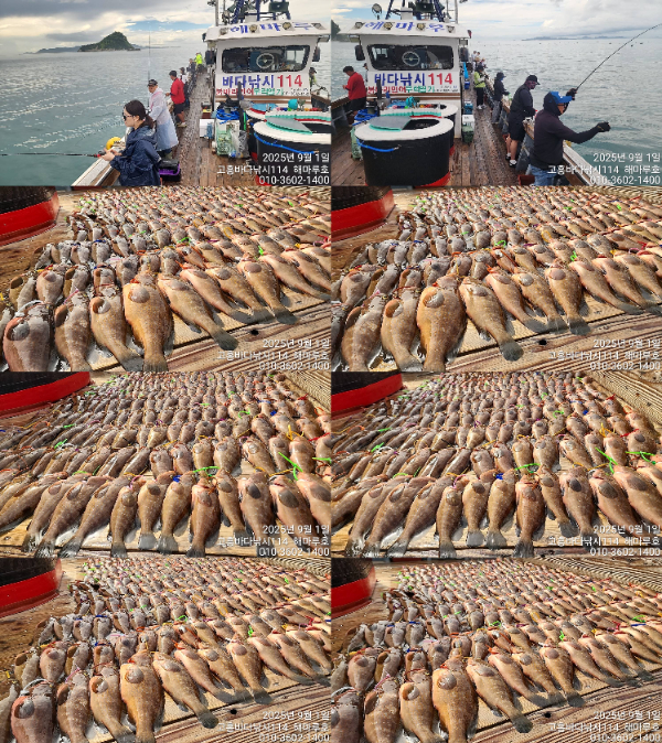 d730e7f56fd8cddd9a75e2bb6a0fa9ab.jpg