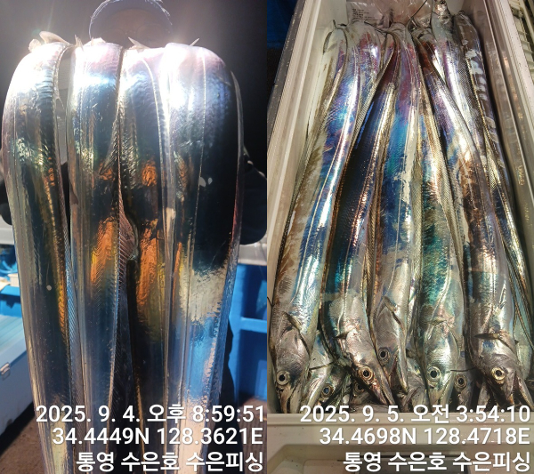 1757024012340-tile.jpg