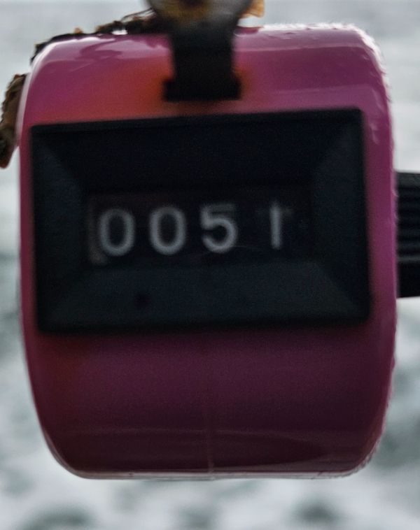 1000043319.jpg