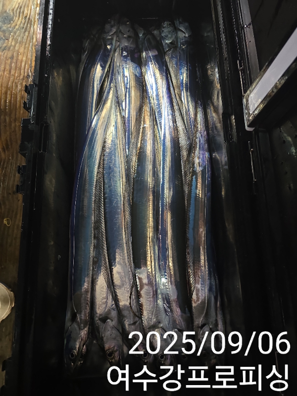 d797252ebfba9843d056c44878778cf4.jpg