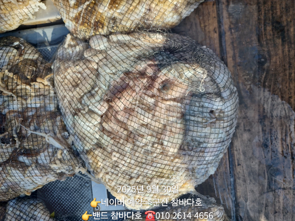 1000029835.jpg