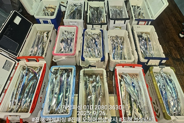 d807e946b68afa82141000aa5b4cdaf8.jpg
