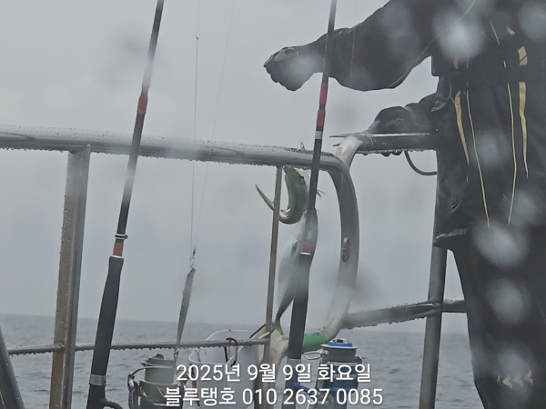 20250909_162831.jpg