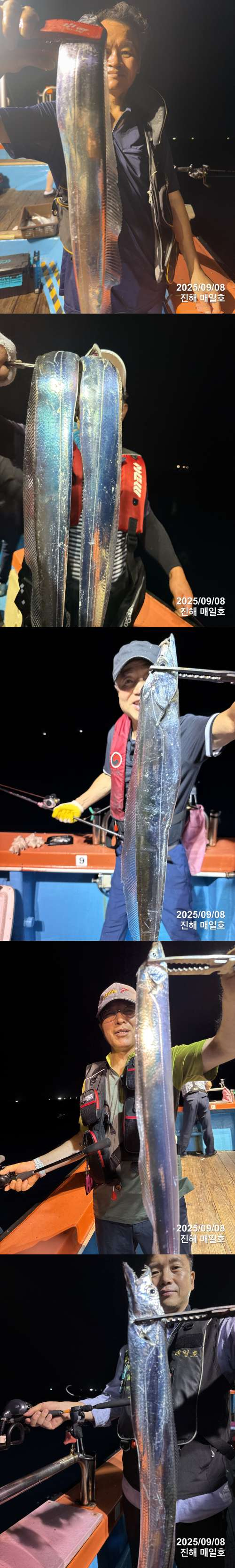 갈치1.jpg