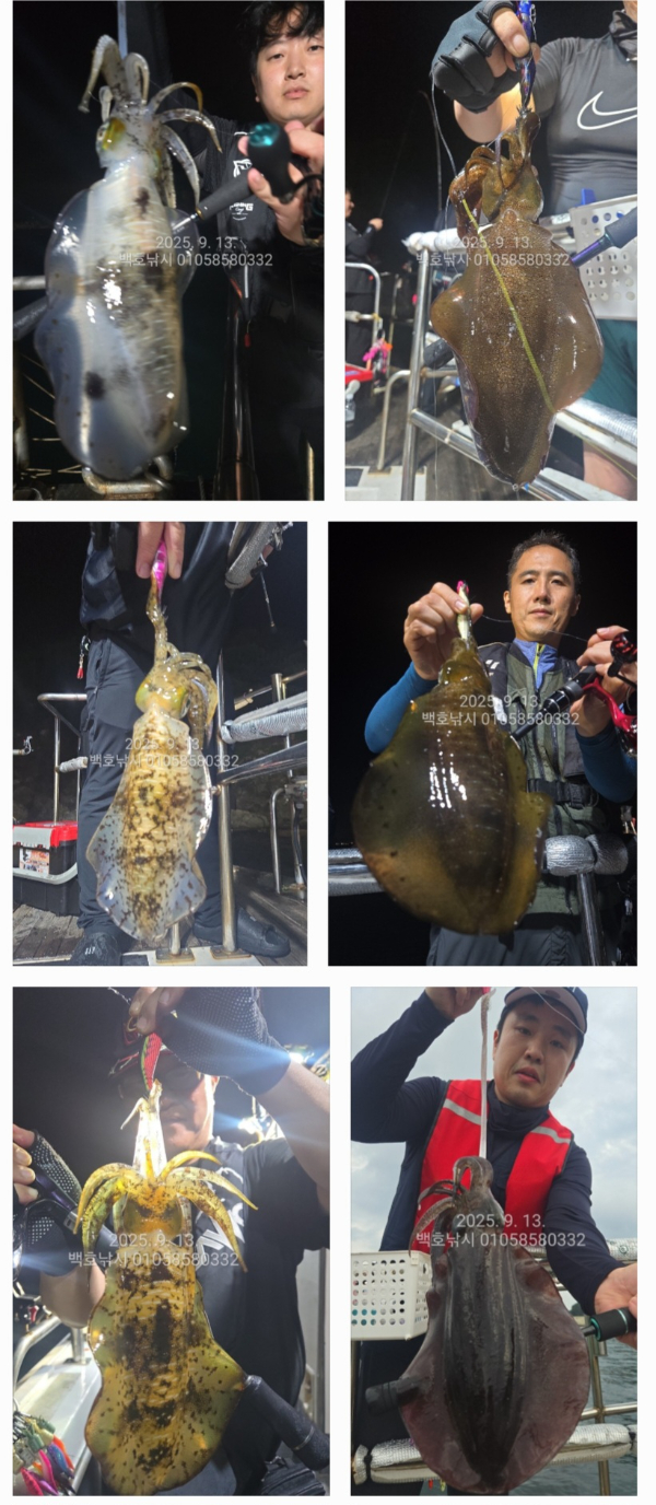 d871752f314d4c94e0a5ab62531afceb.jpg