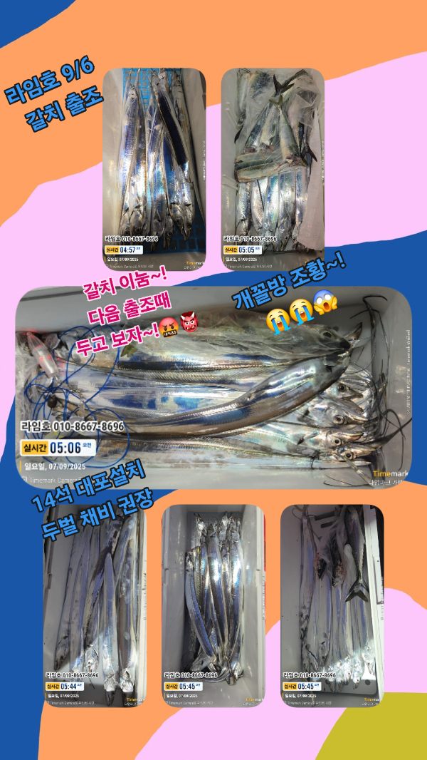 d87cc0a5792264eda02632235556083e.jpg