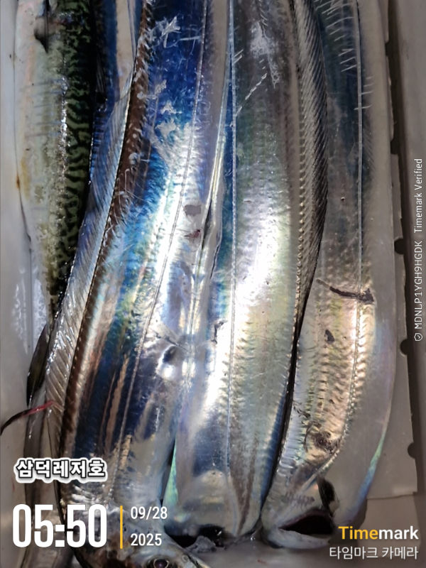 1759011254076.jpg