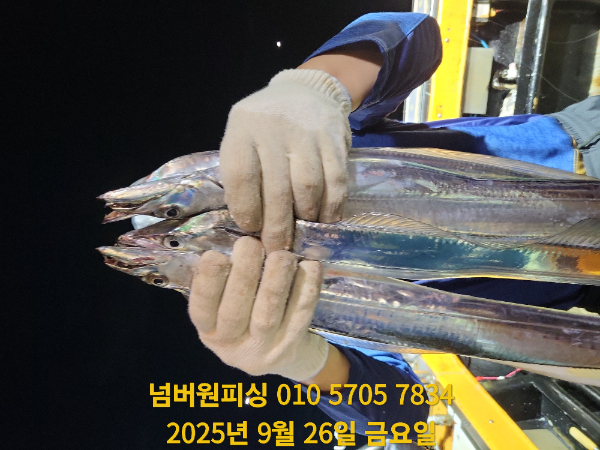 KakaoTalk_20250927_044230459_08.jpg