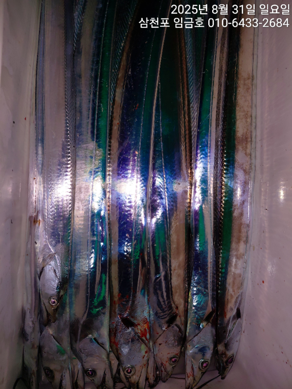 d90c21b815ecea78b33469bcbb0830f6.jpg