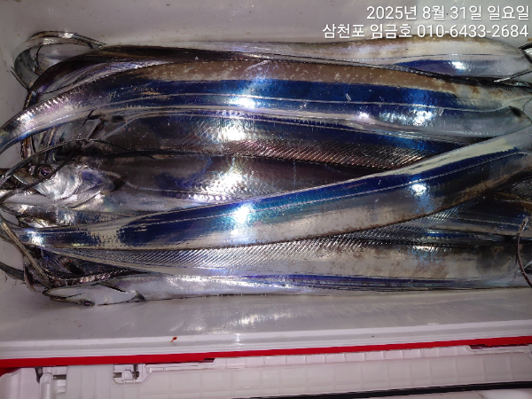 d95b4f63cc28824261ee5ac7bac54701.jpg