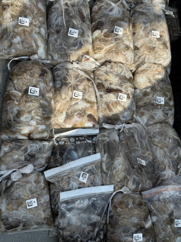 1000091455.jpg