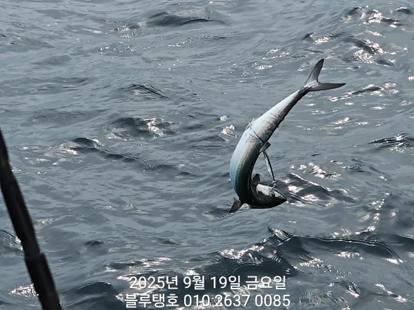 20250919_144440.jpg