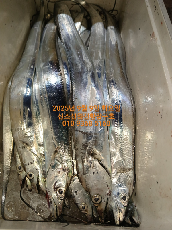 KakaoTalk_20250909_031149067.jpg