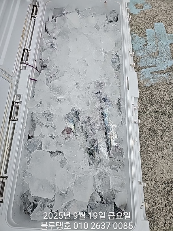 20250919_180150.jpg