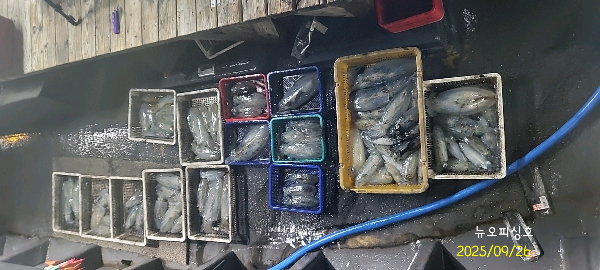 DateCamera0926003715.jpg