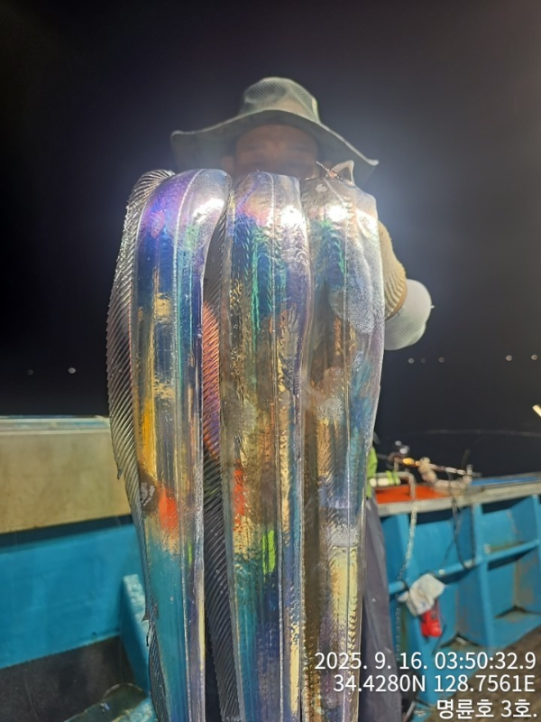 KakaoTalk_20250916_063445969.jpg