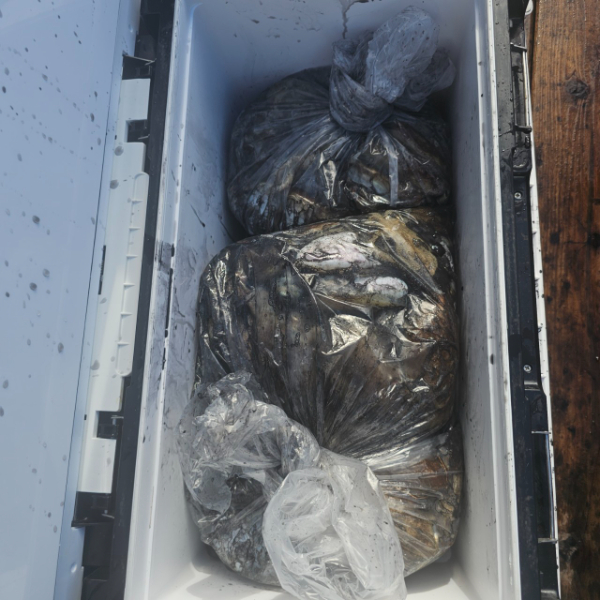 마검포 대한호(VIP)_사진_20250923_13.jpg