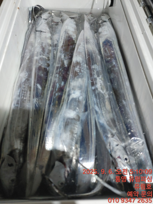 db7ec05539fbd86f192bacda69cdf433.jpg