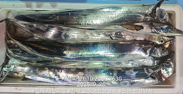 db8248db00697eeac53ddb0a3ffa78d7.jpg