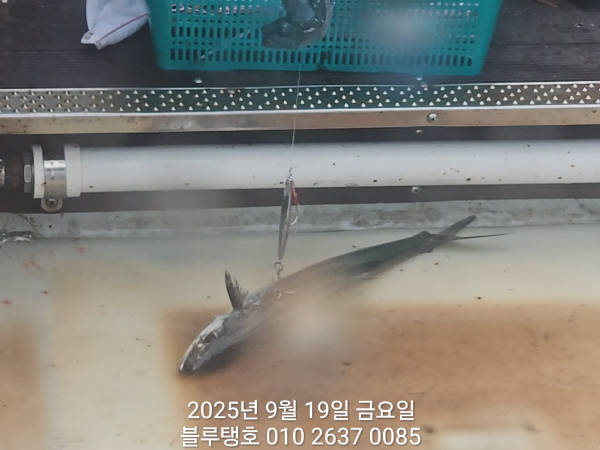 20250919_142905.jpg