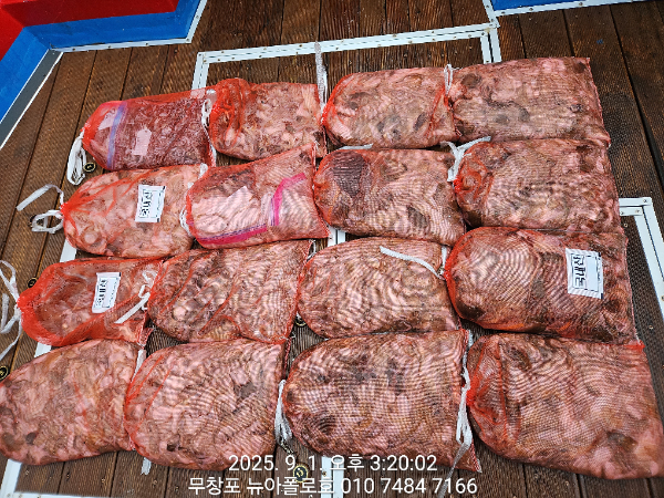 dd83aba33960ac18d12c20ed3ddc4442.jpg