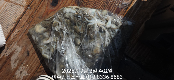 dd83fea0334fac4dd7abe9b5e43c9e9b.jpg