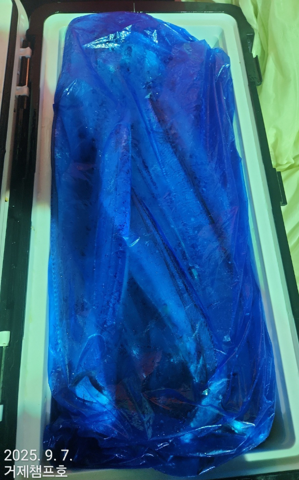 1000022676.jpg