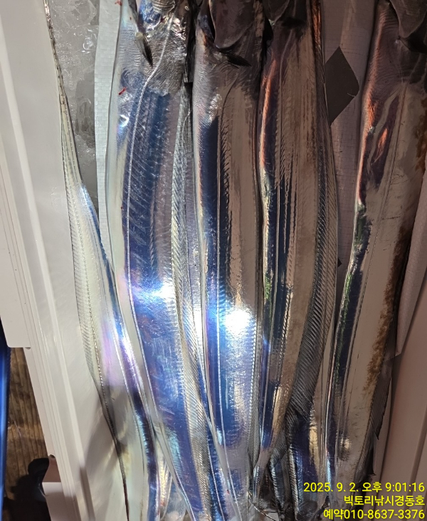1756814694215.jpg