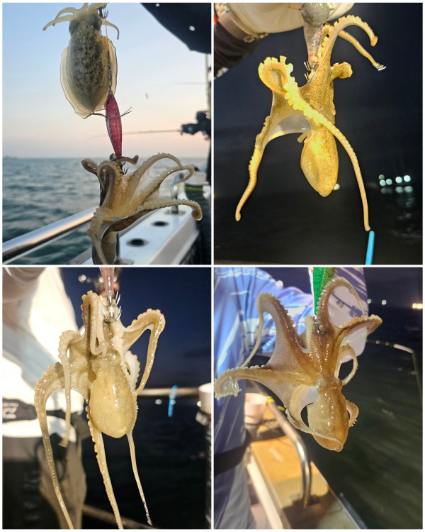 KakaoTalk_20250927_182857896_06.jpg