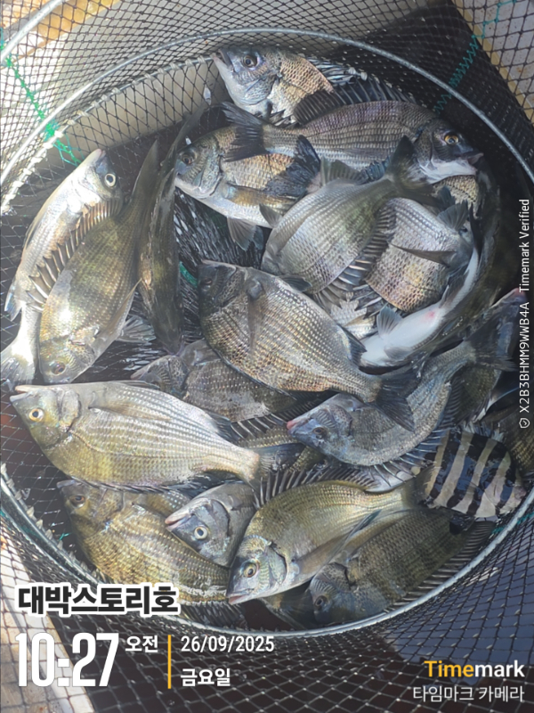 2025-09-26 10.27.24__(대박스토리호).jpg