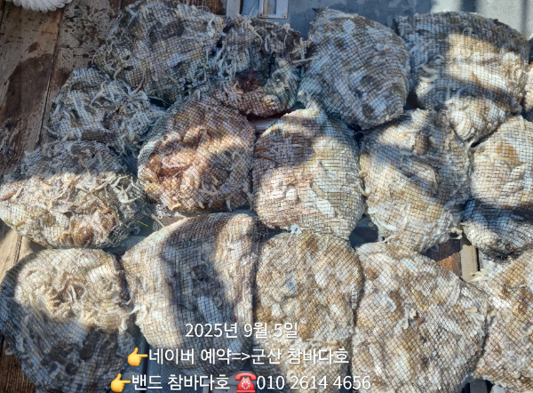 1000029272.jpg