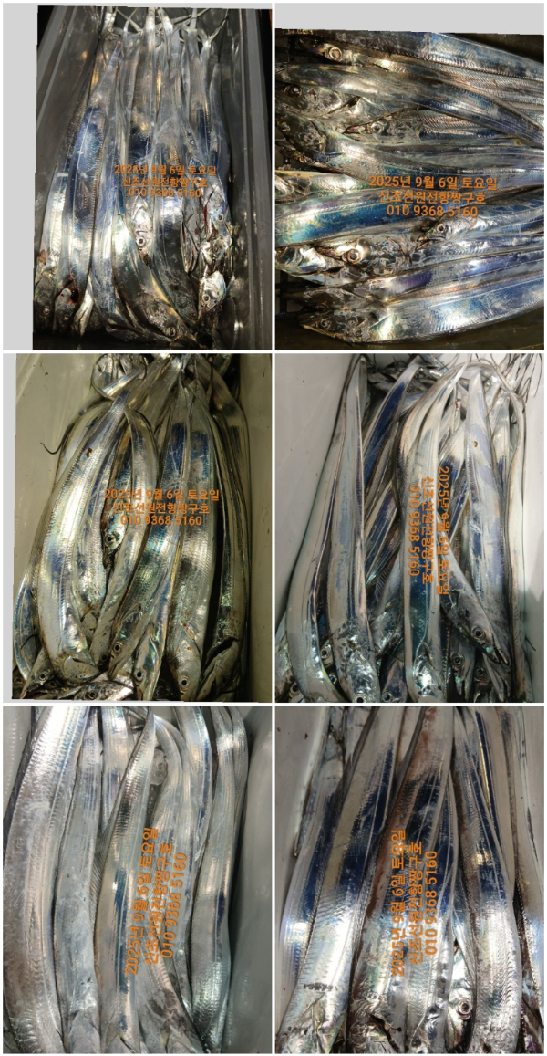 KakaoTalk_20250906_124557015.jpg