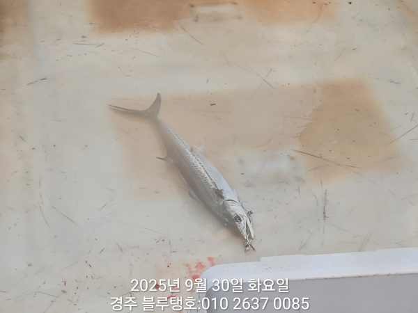 20250930_064623.jpg