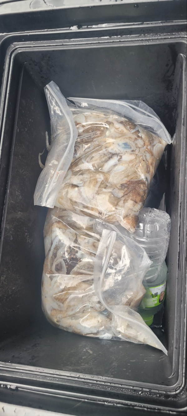 예지퀸호 농어외수질&어초낚시 경기인천권_사진_20250901_8.jpg