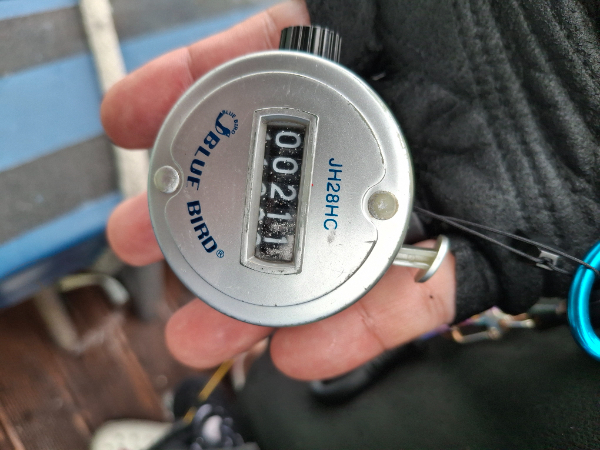 1000006483.jpg