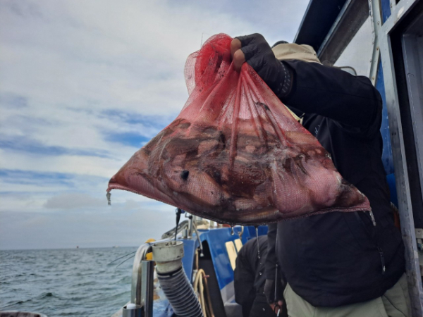 무창포 선상낚시_총각피싱__사진_20250925_9.jpg