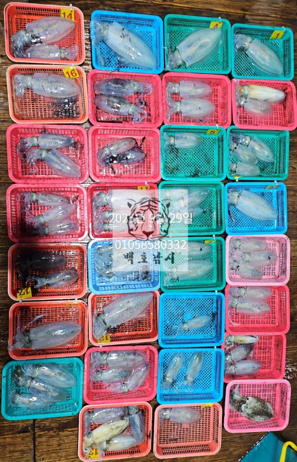 e1d15ede12ea8cca66919e735447aa50.jpg